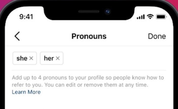Penyebab Kenapa Pronouns Di Instagram Tidak Muncul Yang Perlu Diketahui